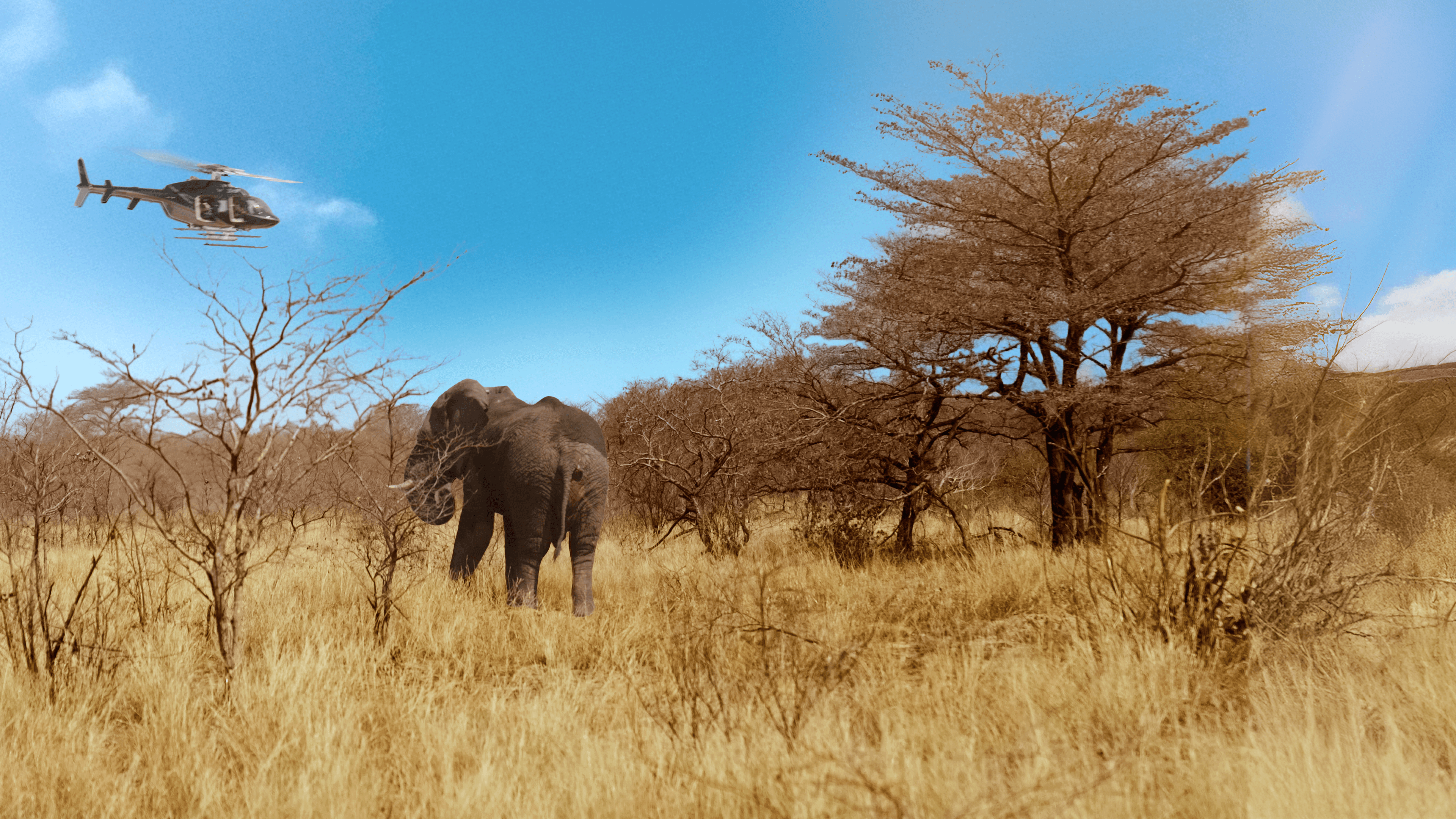 Extreme Airport Africa — International for Smithsonian / Paramount+